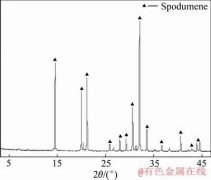 混合捕收剂浮选锂辉石的应用及作用机理研究